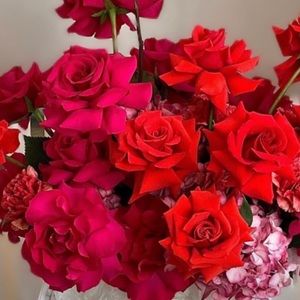 Natural Gorgeos flowers for all type of ocasión. Fresh cut flowers